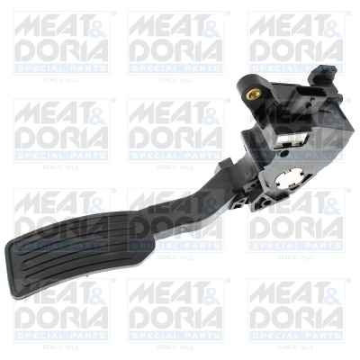 Accelerator Pedal Unit